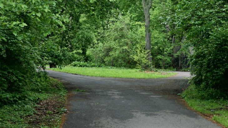 A road forking into two paths, representing user choice between content algorithms